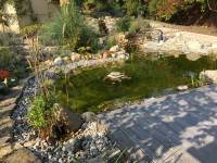 Der Gartenteich und die direkte Umgebung (in Paris).